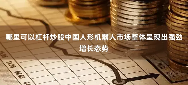 哪里可以杠杆炒股中国人形机器人市场整体呈现出强劲增长态势