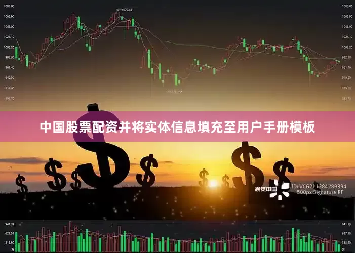 中国股票配资并将实体信息填充至用户手册模板