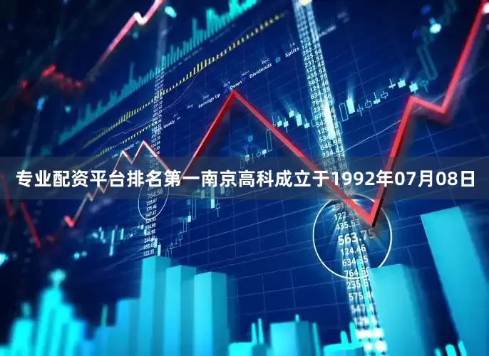 专业配资平台排名第一南京高科成立于1992年07月08日