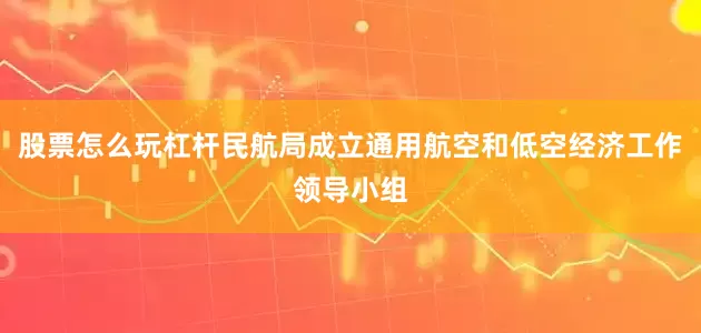 股票怎么玩杠杆民航局成立通用航空和低空经济工作领导小组