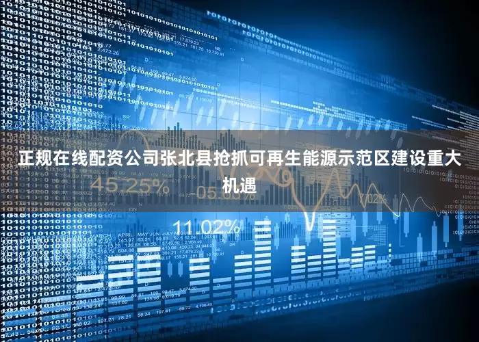 正规在线配资公司张北县抢抓可再生能源示范区建设重大机遇