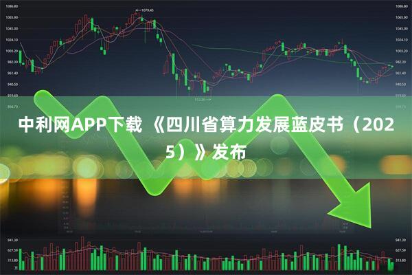中利网APP下载 《四川省算力发展蓝皮书（2025）》发布