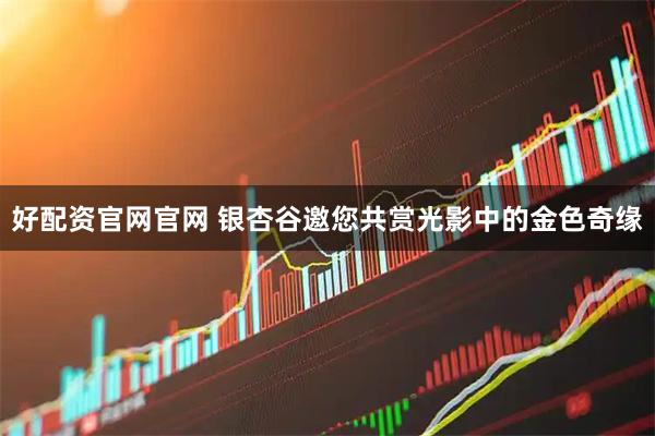 好配资官网官网 银杏谷邀您共赏光影中的金色奇缘