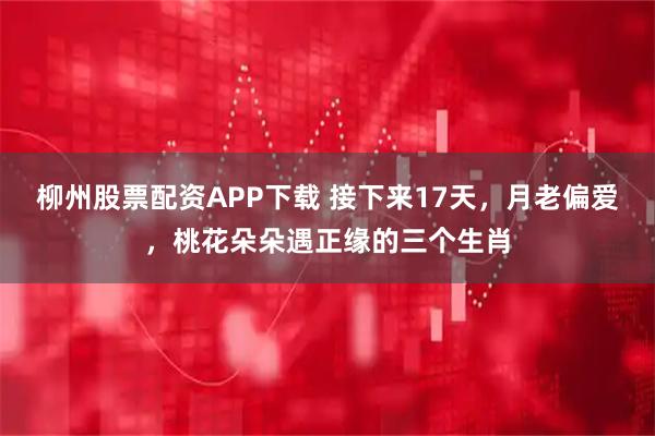 柳州股票配资APP下载 接下来17天，月老偏爱，桃花朵朵遇正缘的三个生肖